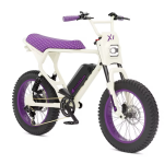 Investigating the Possibility of Modification Using Macfox Electric Bikes