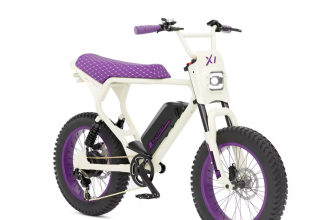 Investigating the Possibility of Modification Using Macfox Electric Bikes