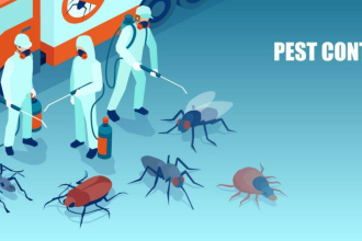 The Benefits of Hiring Pest Control Experts for House Pest Problems
