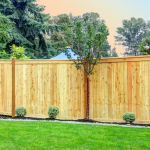 The Timber Touch: A Guide to Choosing and Maintaining Your Timber Fence