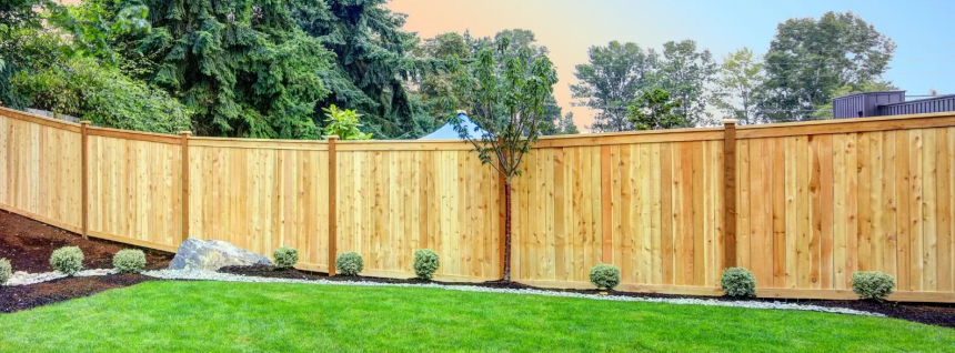 The Timber Touch: A Guide to Choosing and Maintaining Your Timber Fence