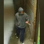 stabbings in Queens