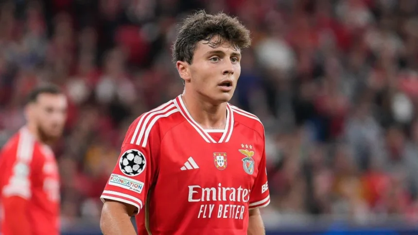 Benfica denies talks about João Neves' transfer to Man United.