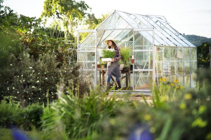 How To Build a Greenhouse in a Limited Space: Tips and Tricks
