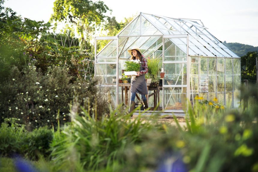 How To Build a Greenhouse in a Limited Space: Tips and Tricks