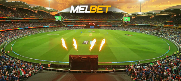 Cricket bet - how to make it the most profitable