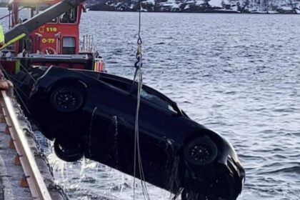 Tesla driver crashes into fjord