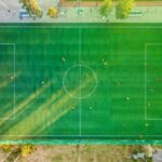 The Impact of Football Betting on the Canadian Economy