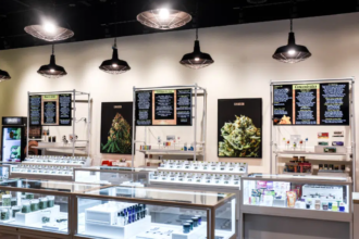 Factors to Consider When Choosing a Dispensary for Your Needs