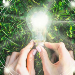 How Energy Consultants Can Help You Save Money and the Planet