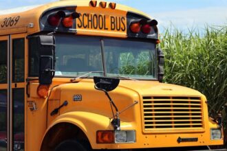 4 Things You Need to Know about Public School Administration