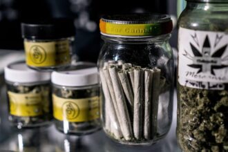 4 Things to Look for When Purchasing Pre-rolls to Ensure Top-Quality When it comes to cannabis consumption, pre-rolls continue to surge in popularity within the cannabis industry. The convenience, consistency, and immediate gratification they offer make them a favorite choice among both seasoned enthusiasts and new initiates. But with the plethora of pre-roll brands and varieties in the market, discerning quality from subpar products can be as hazy as the smoke they produce. In this comprehensive guide, we'll walk you through the essential factors to consider to guarantee that the pre-rolls you purchase are top-notch. Let's get right into it. Read on! 1. Cannabis Quality The potency, flavor, and overall experience of your pre-roll will greatly depend on the quality of cannabis used in its production. When shopping for pre-rolls, look for brands that source their cannabis from reputable cannabis farms and prioritize quality control measures. If possible, opt for pre-rolls made from single-strain flowers, as this ensures a more consistent and robust experience. Any reputable dispensary or brand will proudly display its sourcing and cultivation practices, so don't hesitate to ask for more information. 2. Even Distribution and Packing A well-rolled pre-roll should have an even distribution of cannabis throughout, with no gaps or pockets of air. This ensures a smooth and consistent burn, as well as a more enjoyable smoking experience overall. Make sure to inspect the pre-roll before purchase, gently squeezing it to check for any unevenness in the packing. The packaging materials should also be of high quality to preserve the integrity of the pre-roll and avoid any damage during transportation. 3. Appearance and Freshness Visual cues can also give you an idea of the quality of a pre-roll. Look for one that is tightly rolled, with minimal gaps and tears in the rolling paper. Also, pay attention to the color and texture of the cannabis inside - it should be vibrant and fresh-looking, not dry and crumbly. A good rule of thumb is that if it looks like something you wouldn't want to smoke, it probably isn't worth your money. This is especially important as pre-rolls are often made with lower-quality cannabis or trimmings. It is best to buy from HighProfile or brands that prioritize freshness and quality will have a turnover system in place to ensure their pre-rolls are always at peak freshness. 4. Lab Testing and Packaging A trustworthy pre-roll brand should have its products lab-tested for quality and purity. This ensures that the cannabis used is free from harmful contaminants such as: ● pesticides ● heavy metals ● mold Additionally, pre-roll packaging should be airtight and moisture-resistant to maintain freshness and preserve the integrity of the product. This also prevents any odor from seeping out and making the product less discreet. Learn to Purchase the Right Pre-rolls to Ensure Top-Quality Purchasing top-quality pre-rolls requires careful consideration and attention to detail. By keeping these essential factors in mind, you can ensure that you are getting the best value for your money. As the popularity of pre-rolls continues to soar, it is crucial to know how to discern high-quality products from subpar ones to have the best smoking experience possible. Visit our blog for more helpful articles. We have more!