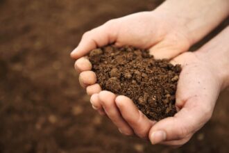 4 Key Factors to Consider When Choosing the Right Soil Sample Bags