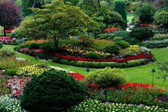 What Sets High-Performing Landscaping Teams Apart from the Rest