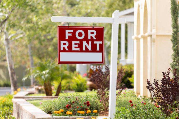 The Ultimate Guide to Apartment Hunting: Essential Criteria Every Tenant Needs to Consider