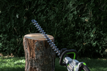 Hedge Trimming 101: Everything You Need to Know When Choosing a Cordless Machine