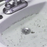 Grasping and Managing Common Sink Backup Challenges
