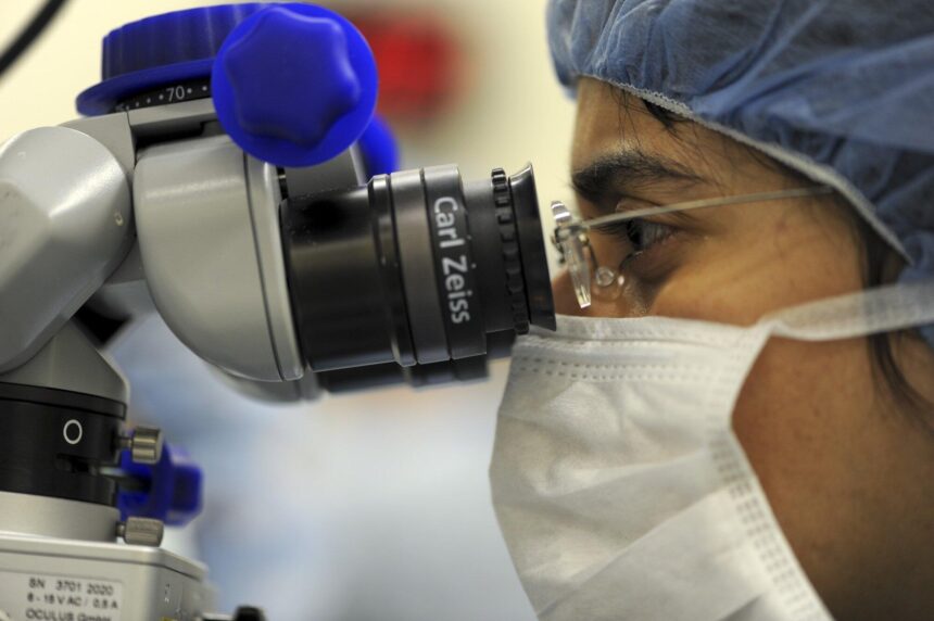 The Battle of the Eyes: Understanding Macular Degeneration vs Glaucoma