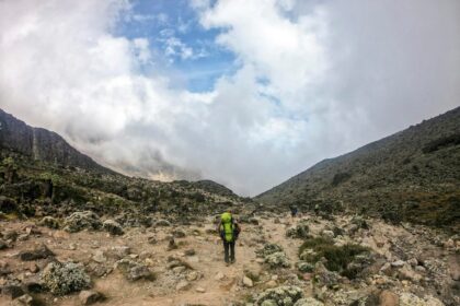 Customer Reviews on the Best Mount Kilimanjaro Tour Operators
