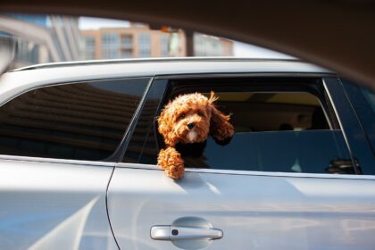 Beyond the Ordinary: How to Connect with Buyers for Your Luxury Vehicle