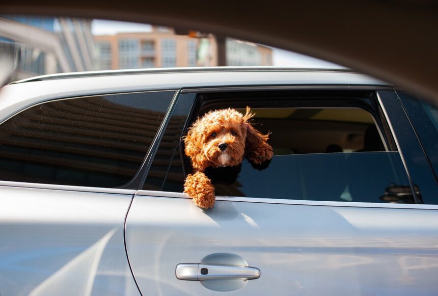 Beyond the Ordinary: How to Connect with Buyers for Your Luxury Vehicle