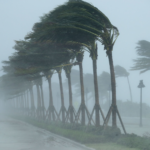 Types of Damage that High Winds from a Hurricane Can Cause to Your Residential Property