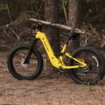 Introducing Puckipuppy Boxer ST: Long Range E-Mountain Bike