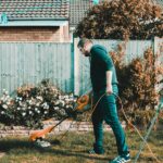 Top Gardening Tips To Create Your Dream Outdoor Space!