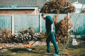 Top Gardening Tips To Create Your Dream Outdoor Space!