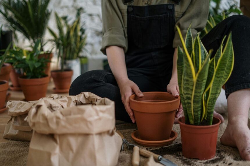 How to Nurture Your Garden