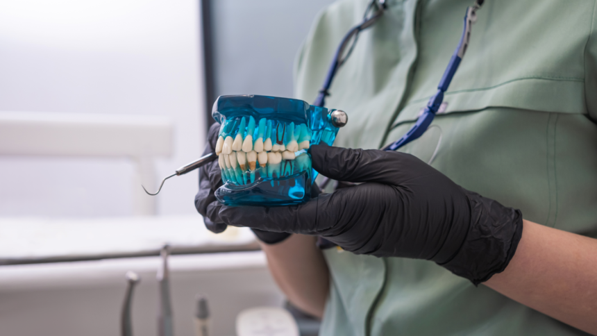 The Basics of Oral Health and Aesthetic Dentistry