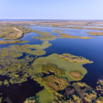 Romania’s Natural Wonders: From the Danube Delta to the Carpathian Mountains