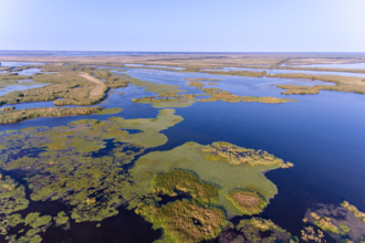 Romania’s Natural Wonders: From the Danube Delta to the Carpathian Mountains