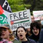 Pro-Palestinian