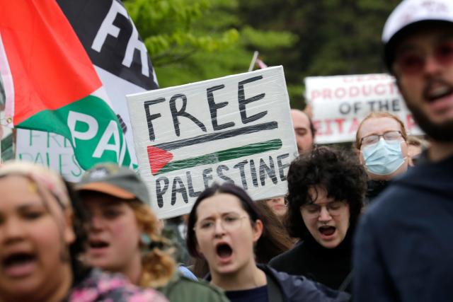 Pro-Palestinian