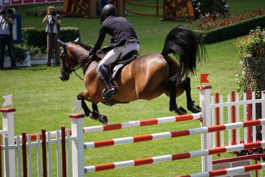 The 4 Importance of Proper Communication and Leadership in Horse Training School