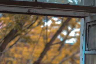 Aesthetic and Practical: Tips for Selecting Window Types and Designs