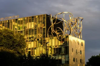 Goldsmith university of london