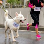 Innovative Fundraising Ideas to Drive Donations