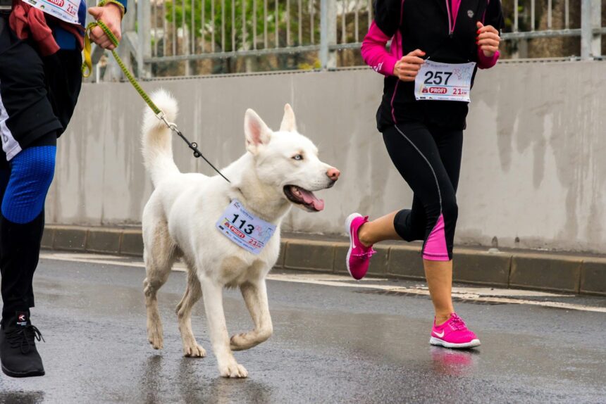 Innovative Fundraising Ideas to Drive Donations