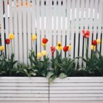 The Top Benefits of Hiring a Professional Fence Specialist