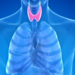 Functional vs. Conventional Thyroid Treatment: What's the Difference?