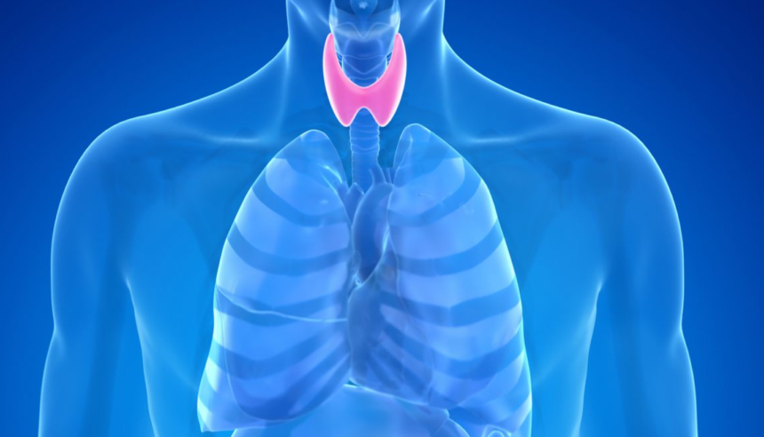 Functional vs. Conventional Thyroid Treatment: What's the Difference?