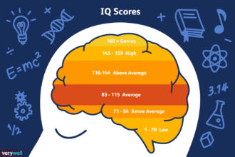 Highest IQ