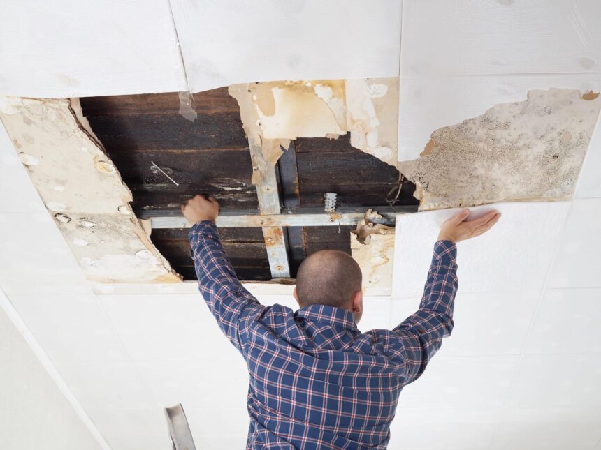 The Hidden Dangers of Ignoring Roof Leaks: Timely Repairs Matter