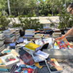 books on gender and diversity