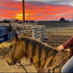 Miss Teen Rodeo Kansas, 19, Dies in Car Accident; Teammates Injured