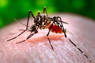Climate change related diseases