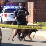 Gunfire Erupts at Detroit Apartment Complex, Leaving Two Shot One Fatally in Drive-By Incident