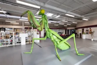 Mantis Muse sculpture